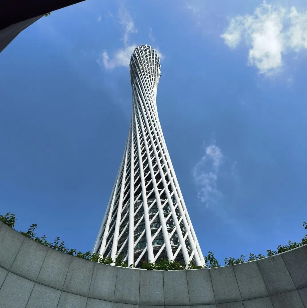 伴游的主要工作内容